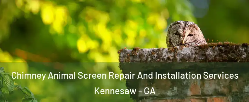  Chimney Animal Screen Repair And Installation Services Kennesaw - GA