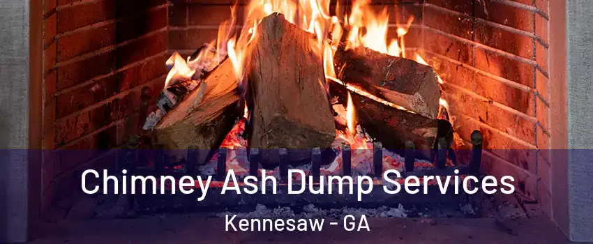 Chimney Ash Dump Services Kennesaw - GA