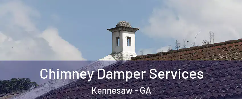  Chimney Damper Services Kennesaw - GA