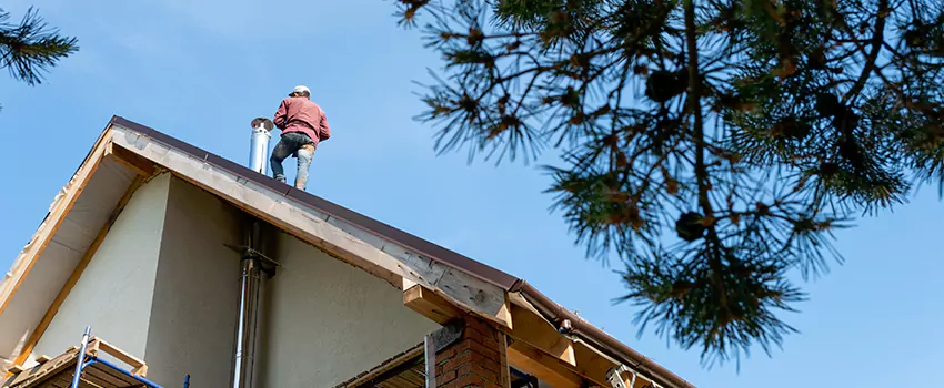 Birds Removal Contractors from Chimney in Kennesaw, GA