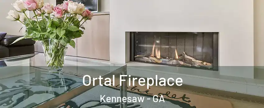 Ortal Fireplace Kennesaw - GA