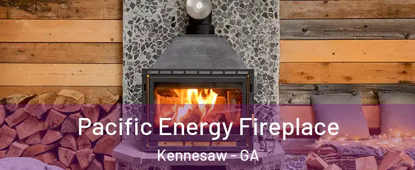  Pacific Energy Fireplace Kennesaw - GA
